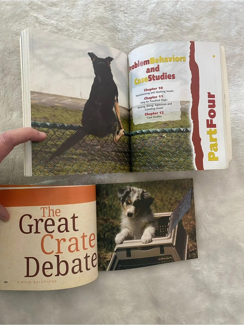 Two Dog Training Books